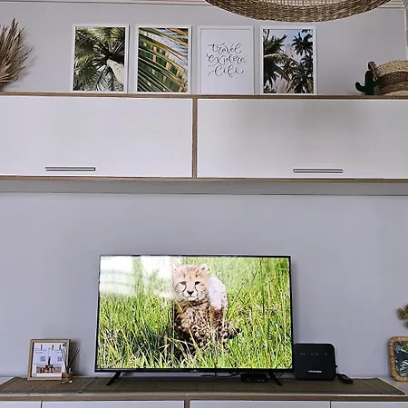 Cozy Boho Small Apartment *