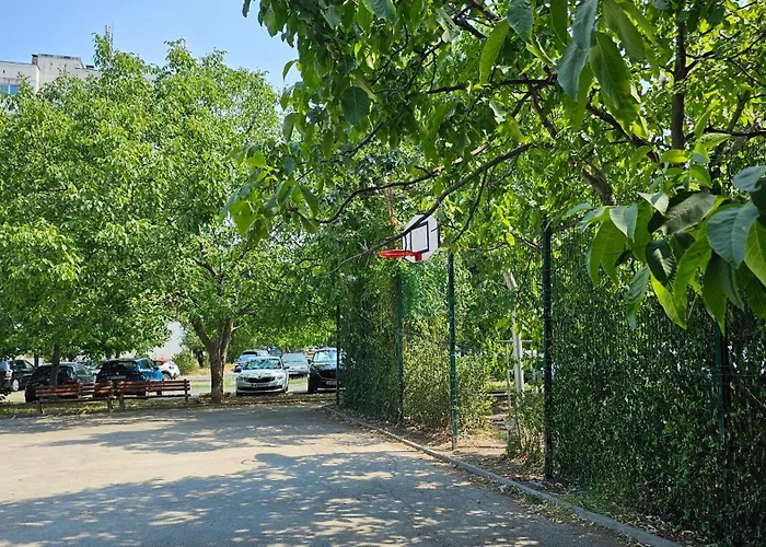 Cozy Boho Small Sofia