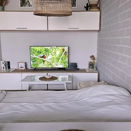Cozy Boho Small דירה סופיה