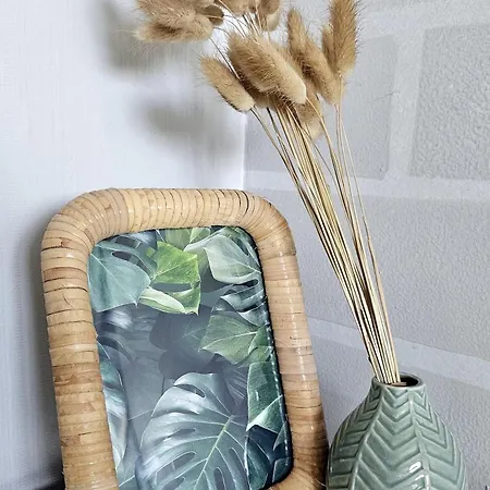 شقة Cozy Boho Small *