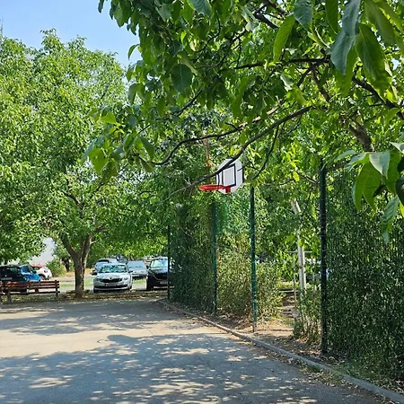 Cozy Boho Small صوفيا