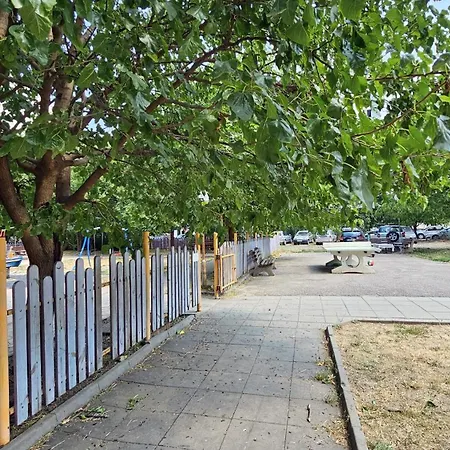 Cozy Boho Small Sofie